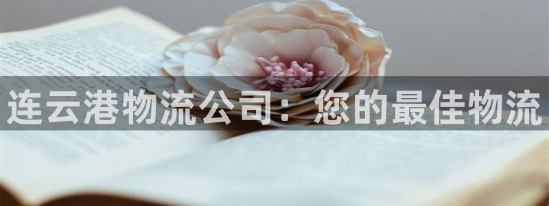 28圈最稳打法