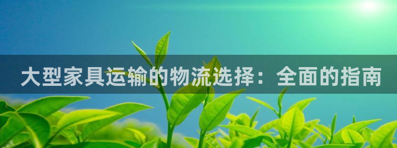 28圈注册送： 大型家具运输的物流选