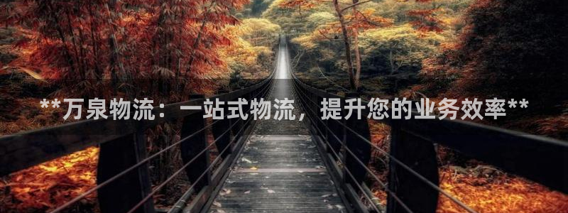 28圈充值不处理