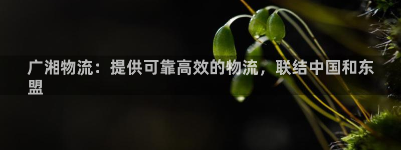 28圈技巧