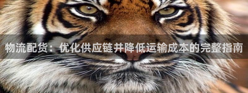 28圈注册过了警察知道吗：物流配货：
