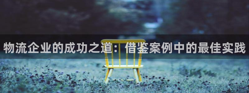 28圈旗下：物流企业的成功之道：借鉴