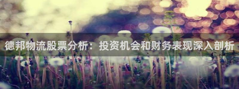 28圈模拟器：德邦物流股票分析：投资