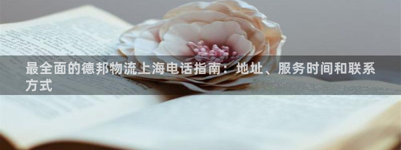 28圈加拿大是什么意思：最全面的德邦