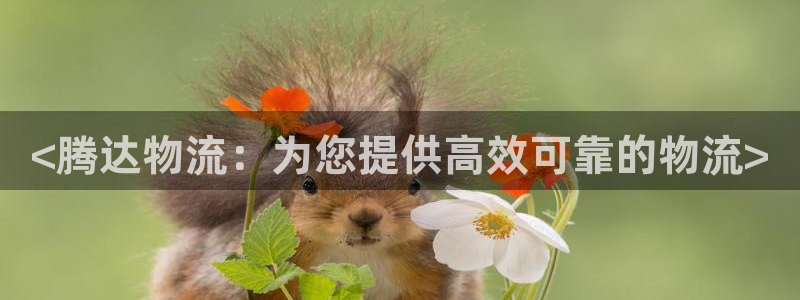 28圈注册链接教程：<腾达物流：为您