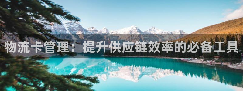 28圈连接：物流卡管理：提升供应链效
