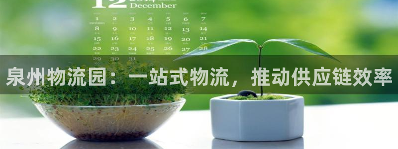 28圈加拿大能提现吗：泉州物流园：一
