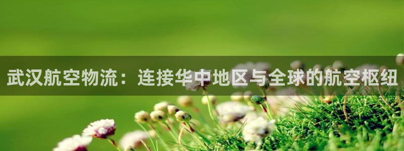 28圈是啥