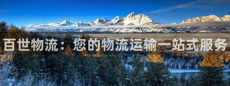 28圈下载二维码