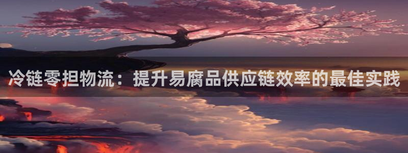 28圈里的财神：冷链零担物流：提升易