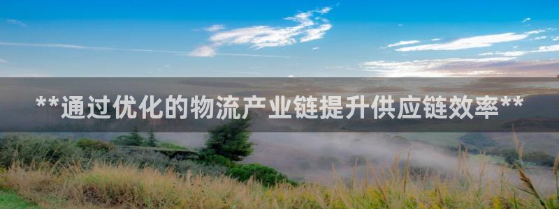 28圈链接是什么：**通过优化的物流