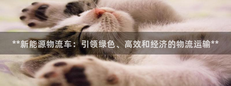 28圈旗下：**新能源物流车：引领绿
