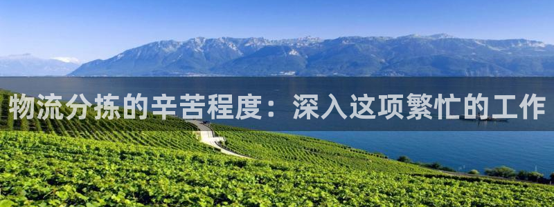 28圈.ccmpc正版：物流分拣的辛