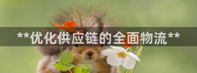 pc28圈怎么注册：**优化供应链的