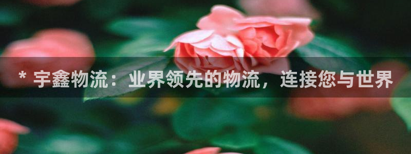 28圈游戏最新版