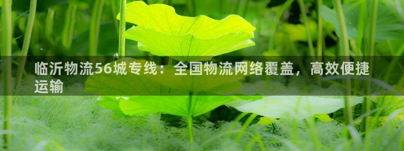 28圈注册：临沂物流56城专线：全国