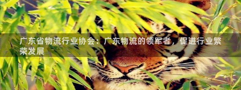 28圈注册问一问：广东省物流行业协会