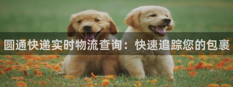 28圈自行车图片大全：圆通快递实时物