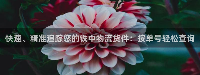 28圈注册登录：快速、精准追踪您的铁
