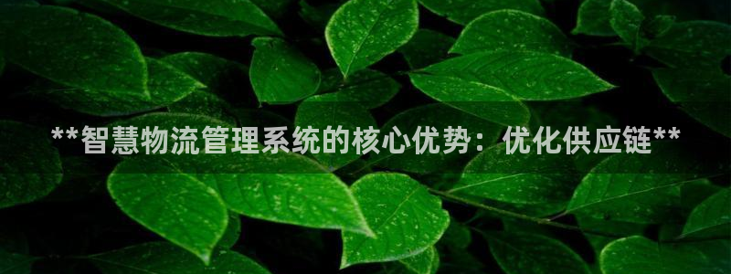 28圈加拿大6.0：**智慧物流管理
