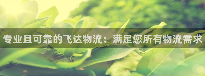 28圈加拿大28：专业且可靠的飞达物
