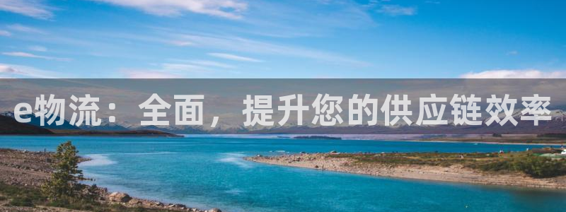 28圈加拿大在线预测：e物流：全面，