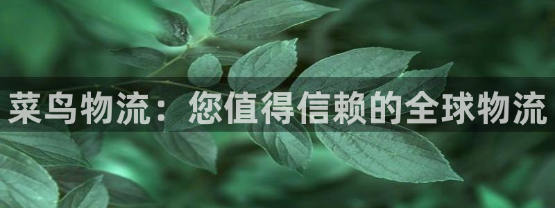 28圈起来的符号