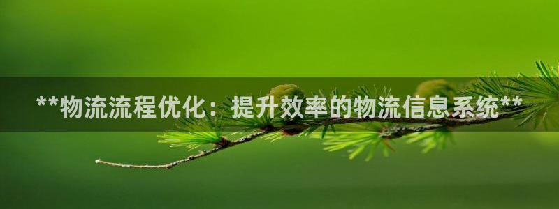 28圈娱乐官网网页：**物流流程优化