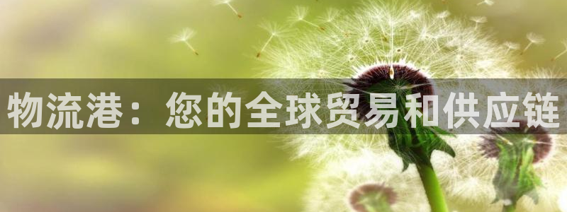 28圈登录不上咋回事：物流港：您的全