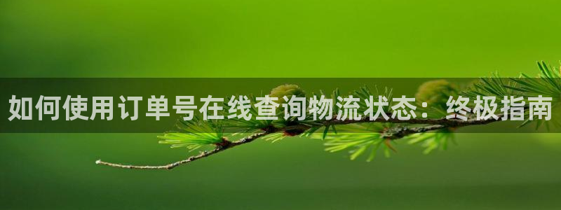 28圈预测加拿大