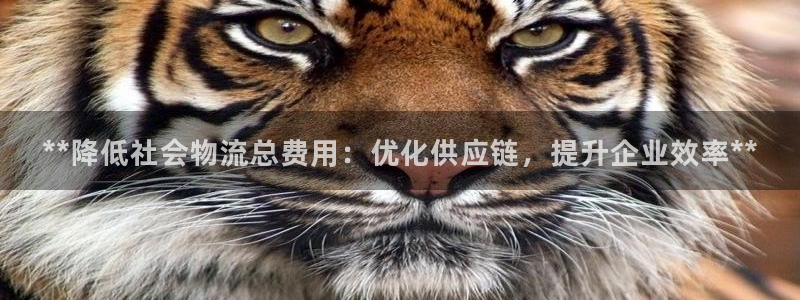 28圈人工客服电话是什么