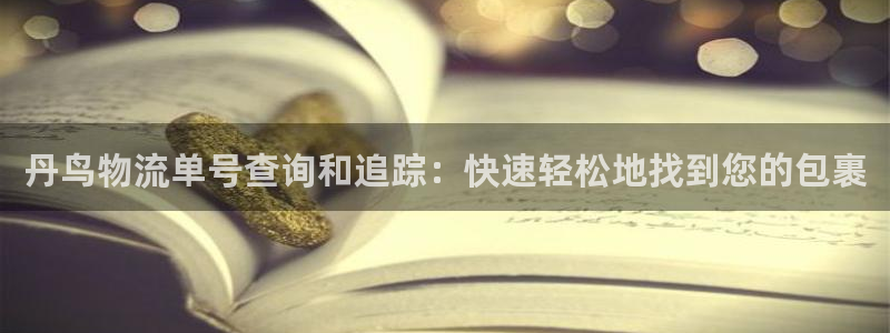28圈模拟器：丹鸟物流单号查询和追踪