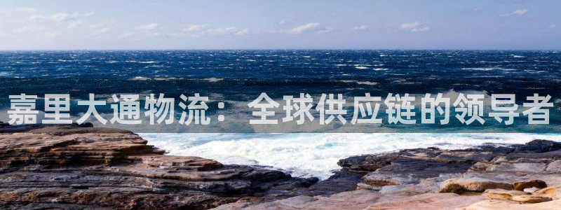28圈p扣除：嘉里大通物流：全球供应