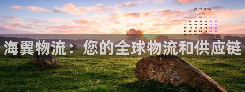 28圈注册平台：海翼物流：您的全球物