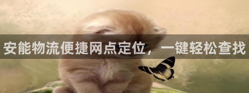 28圈提现不到账：安能物流便捷网点定