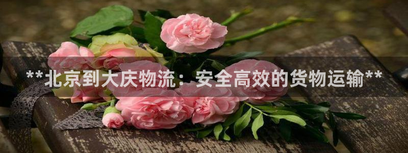 28圈官网下载链接是什么网站
