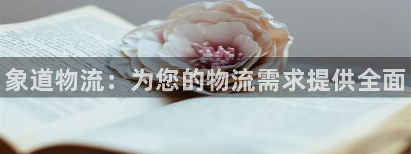 28圈稳吗：象道物流：为您的物流需求