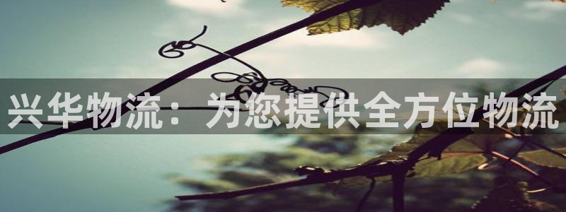 28圈注册网站多少：兴华物流：为您提