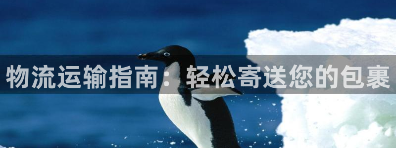 28圈app怎么注册账号：物流运输指