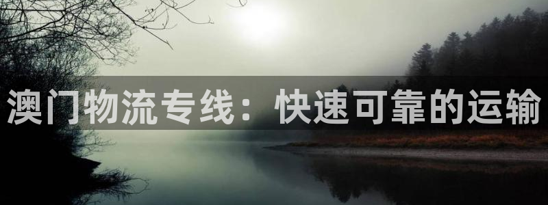 28圈官网开奖结果预测查询