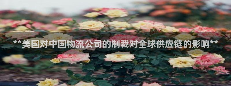 28圈的自行车：**美国对中国物流公