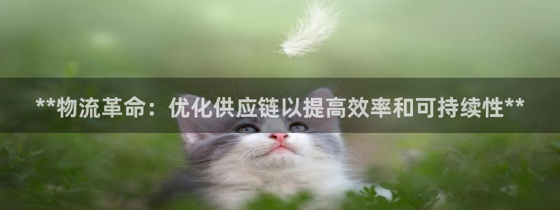 28圈流水怎么算：**物流革命：优化