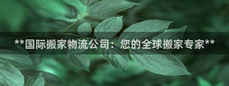 28圈充值不处理怎么办：**国际搬家