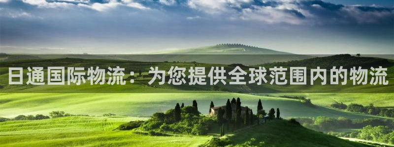 28圈登录网：日通国际物流：为您提供