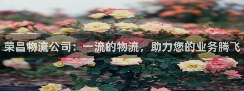 28圈注册用户名是什么：荣昌物流公司