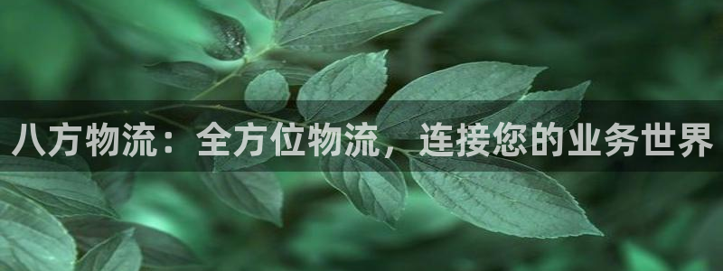 28圈注册登录链接：八方物流：全方位