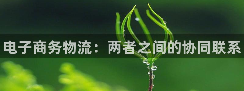 28圈提款一直没到：电子商务物流：两