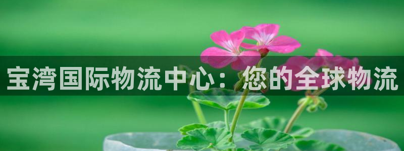 28圈加拿大是什么