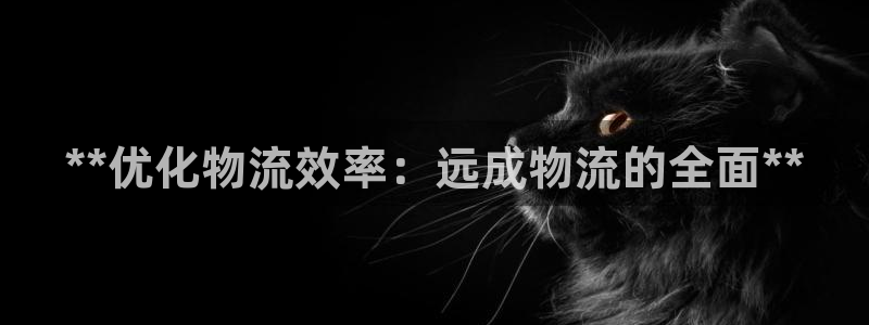 28圈绿骨头：**优化物流效率：远成