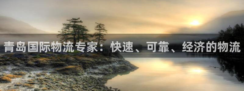 28圈官网开奖结果预测：青岛国际物流